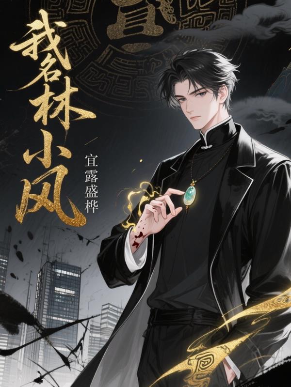 我名林小风